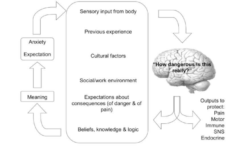 Many inputs affect the implicit perception of threat to body tissues, labelled here as 'How dangerous is this really?' Those inputs have wider meaning effects, which in turn seems to affect anxiety, attention and expectation. The implicit perception of threat to body tissues determines pain and in turn influences other inputs.