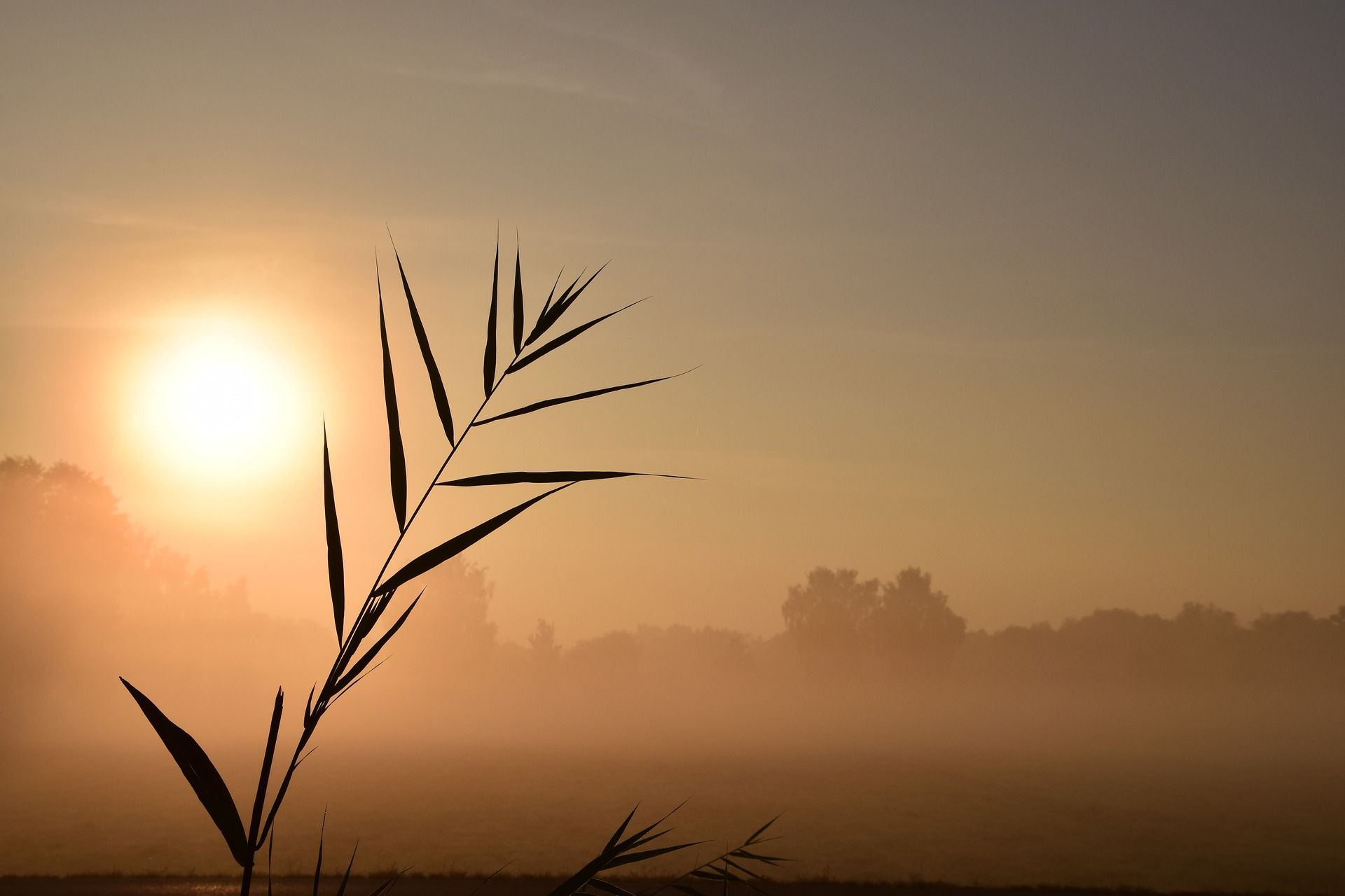 sunrise-1688100_1920